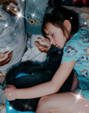 На фотографии спит девочка, обнимая серого кота. Девочка в платице с котами. Вокруг них игрушечные коты.
